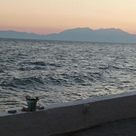 George & Katerina Houses Paralia Dionysiou Buitenkant foto
